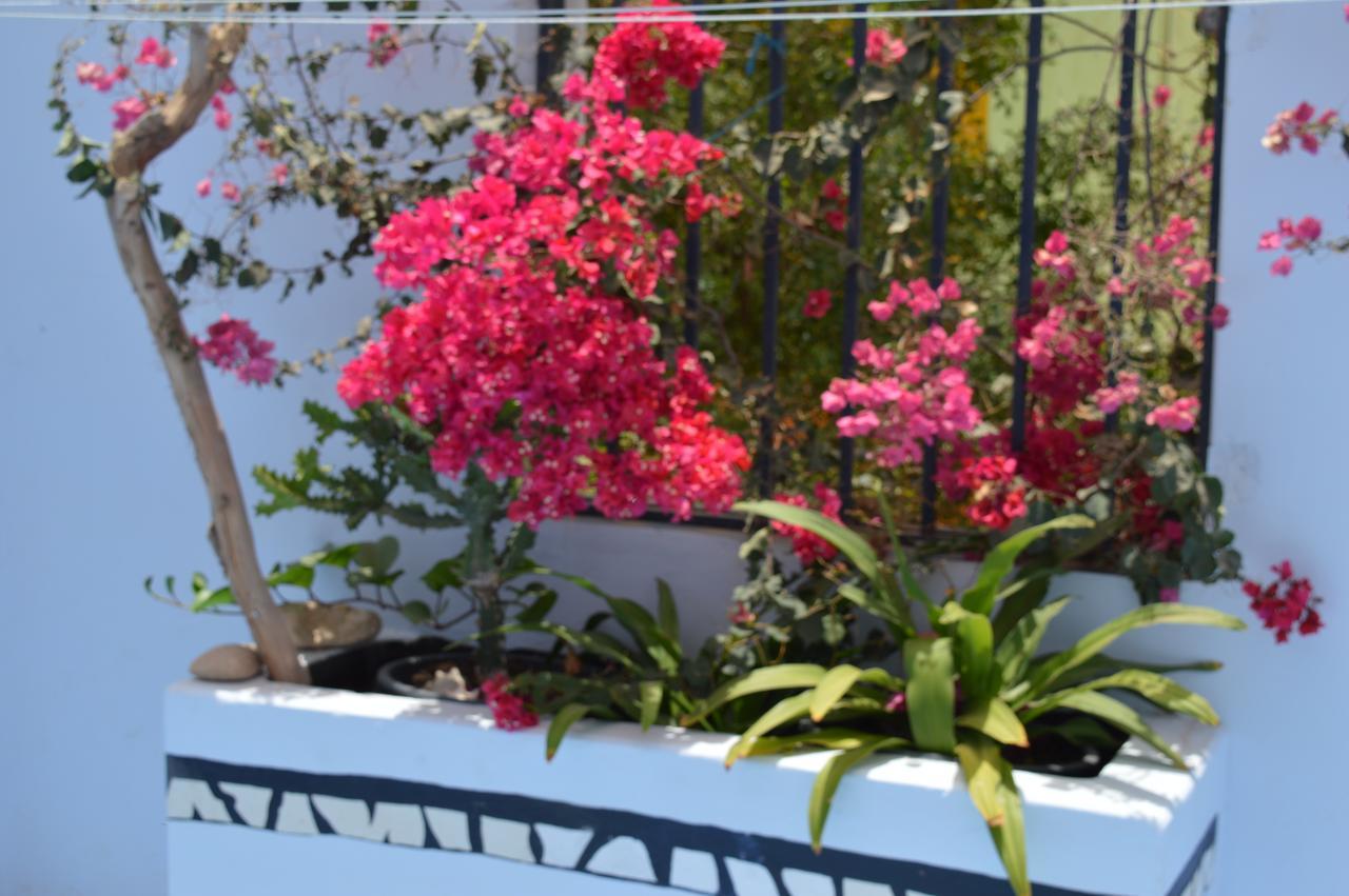 Bed and Breakfast Yacht Club Sal Palmeira Экстерьер фото